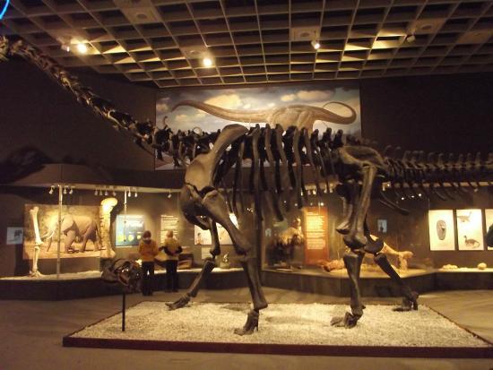 LWL Museum of Natural History with Planetarium